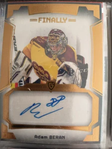 Adam Beran Autograph 17/20 Jihlava Finally season Goal cards