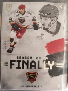 Jan Veselý Bonus paralell 13/25 Prostějov Finally season Goal cards