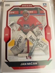 Jan Mičán paralell 1/6 Třebíč 23/24 1. série Goal cards