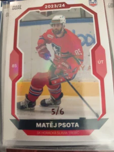 Matěj Psota paralell 5/6 Třebíč 23/24 1. série Goal cards