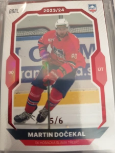 Martin Dočekal paralell 5/6 Třebíč 23/24 1. série Goal cards