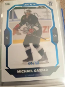 Michael Gaspar paralell 01/10 Kolín 23/24 2. série Goal cards