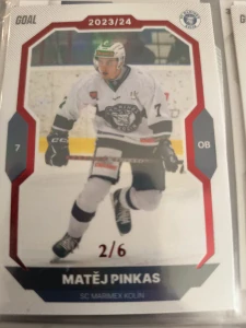 Matěj Pinkas paralell 2/6 Kolín 23/24 1. série Goal cards