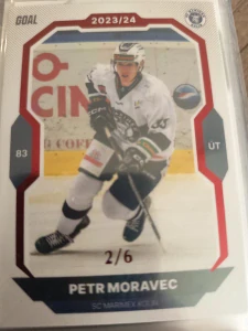 Petr Moravec paralell 2/6 Kolín 23/24 2. série Goal cards