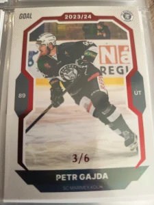 Petr Gajda paralell 3/6 Kolín 23/24 2. série Goal cards
