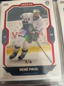 René Piegl paralell 3/6 Kolín 23/24 1. série Goal cards