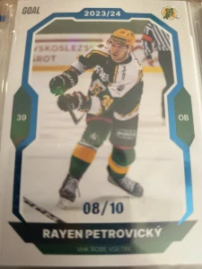 Rayen Petrovický paralell 08/10 Vsetín 23/24 2. série Goal cards