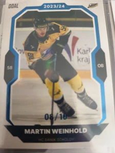 Martin Weinhold paralell 08/10 Sokolov 23/24 2. série Goal cards