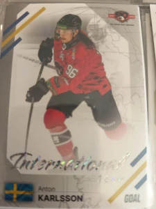 Anton Karlsson International team 17/19 Znojmo 23/24 2. série Goal cards
