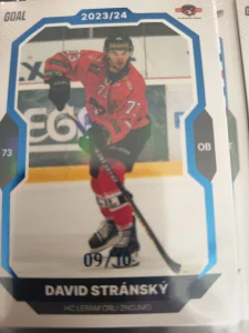 David Stránský paralell 09/10 Znojmo 23/24 2. série Goal cards