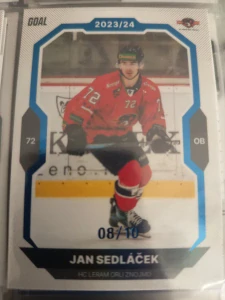 Jan Sedláček paralell 08/10 Znojmo 23/24 2. série Goal cards