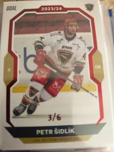 Petr Šidlík paralell 3/6 Prostějov 23/24 1. série Goal cards
