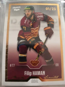 Filip Haman Gold 01/23 Jihlava 22/23 2. série
