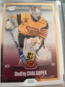 Ondřej Chaloupek Gold 02/23 Jihlava 22/23 update