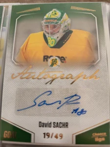 David Sachr Autograph 19/49 Vsetín 22/23 2. série