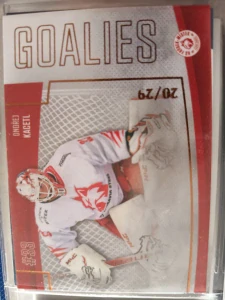 Ondřej Kacetl Goalies limit 20/29 Frýdek 22/23 2. série
