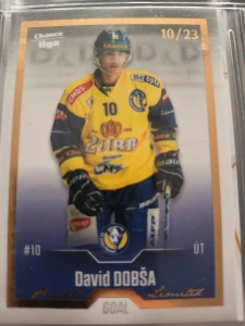 David Dobša Gold 10/23 Přerov 22/23 2. série