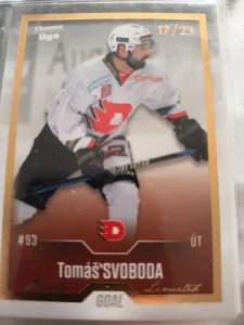 Tomáš Svoboda Gold 17/23 Pardubice 22/23 update