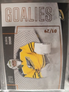 Oldřich Cichoň Goalies limit 01/29 Sokolov 22/23 2. série