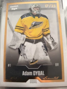 Adam Dybal Gold 17/23 Sokolov 22/23 update