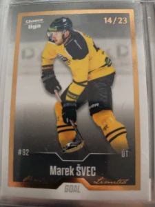 Marek Švec Gold 14/23 Sokolov 22/23 2. série