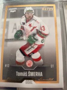 Tomáš Šmerha Gold 02/23 Slavie 22/23 update