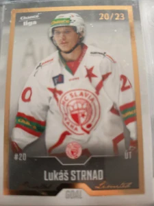 Lukáš Strnad Gold 20/23 Slavie 22/23 2. série