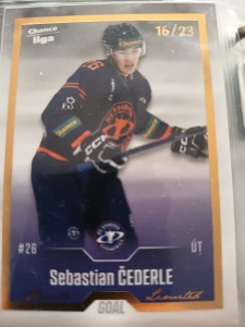 Sebastian Čederle Gold 16/23 Litoměřice 22/23 update