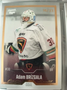 Adam Brízgala Gold 14/23 Prostějov 22/23 2. série