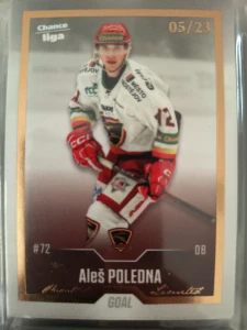 Aleš Poledna Gold 05/23 Prostějov 22/23 2. série