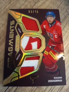 Tomáš Zohorna Jersey fragment 03/15