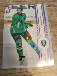 Tomáš Havlín Puck Marks