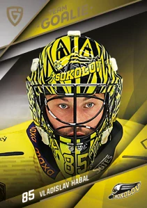 Vladislav Habal Goalies